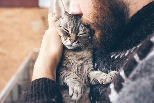 bearded-man-snuggling-cat-SW Man with beard snuggles a cat close to face.