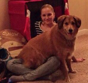 Brown dog sits on a lady's lap sitting on the floor.