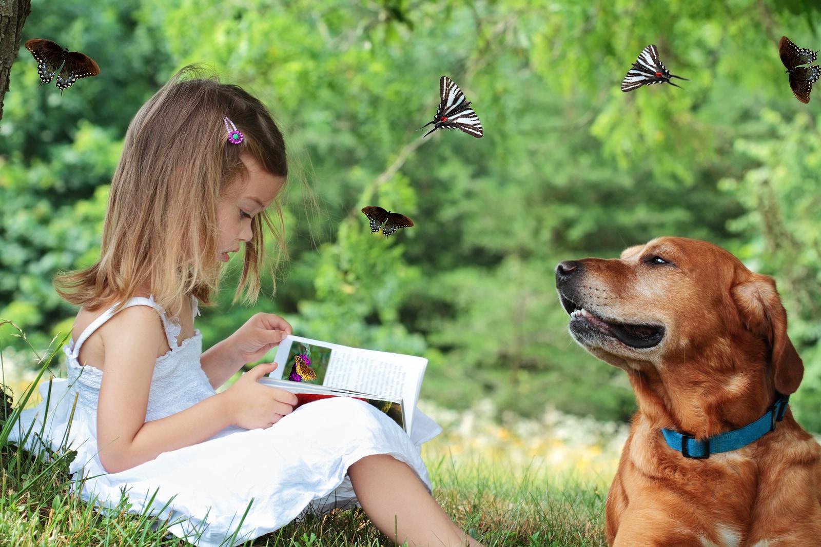 Little girl sits under a tree reading a book about butterflies as dog sits nearby watching butterflies fly around them.