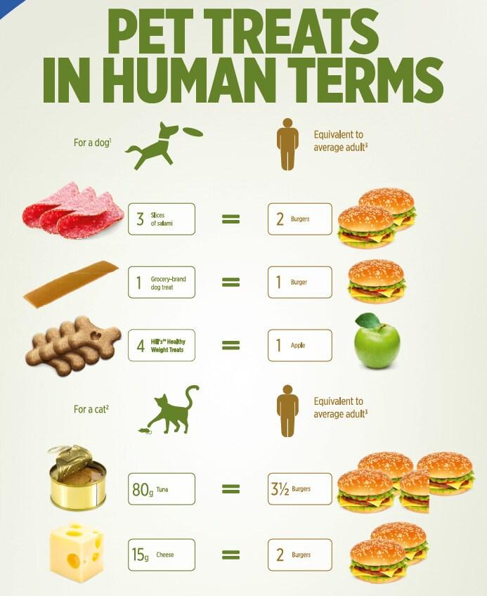 Μεταφραστής λιχουδιών