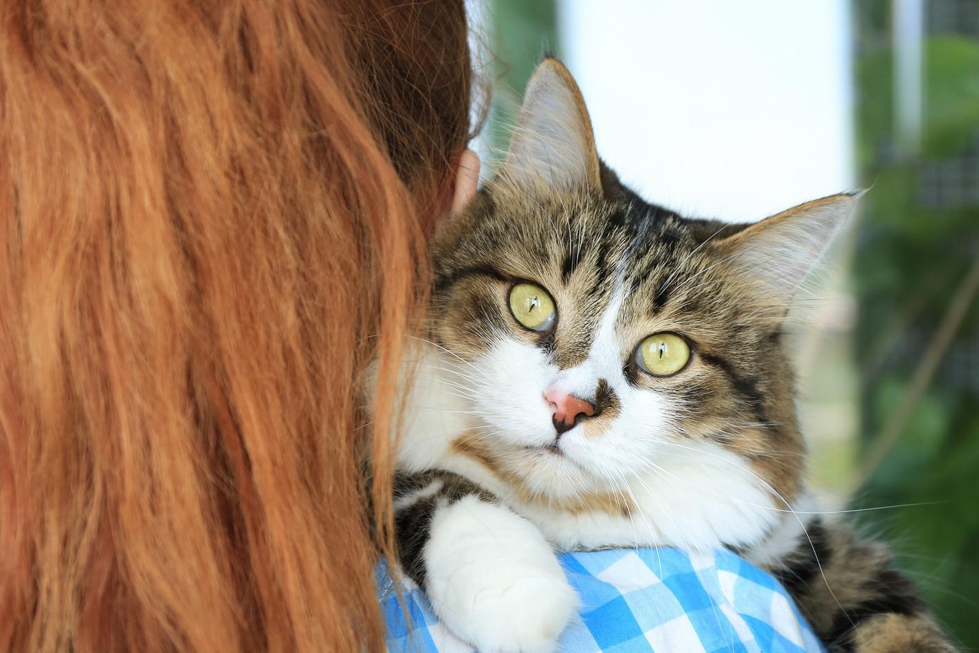 Woman in blue checkered shirt holds fluffy cat over her right shoulder.