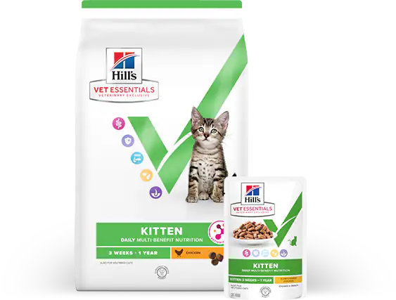 Μία συσκευασία ξηρής και υγρής τροφής Hill's Vet Essentials Multi-Benefit για γατάκια