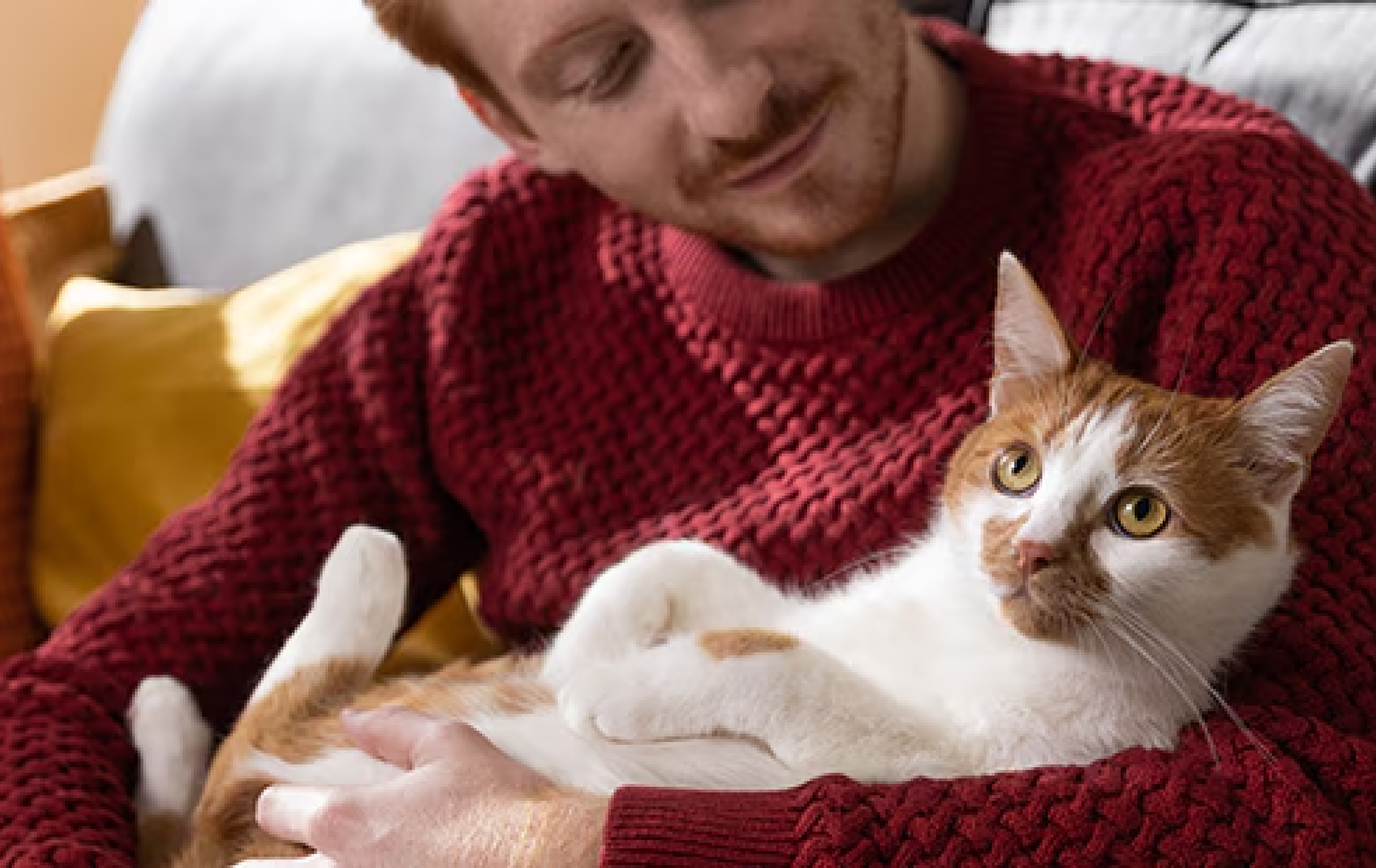 Γυναίκα με πορτοκαλί μπλούζα που κρατά μια πορτοκαλί γάτα