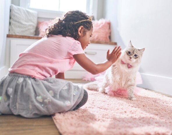 Ένα νεαρό κορίτσι παίζει με ένα γατάκι
