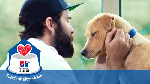 Hill´s Food, Shelter & Love program - owner with his dog