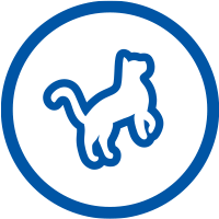 Feed less calories - cat blue icon