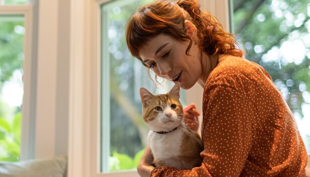 Μια γάτα καφέ-λευκού χρώματος κάθεται στα γόνατα μιας γυναίκας