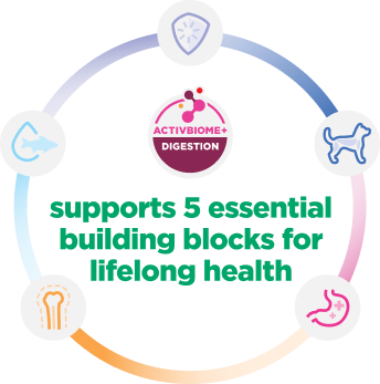 Το γράφημα εξηγεί 5 βασικά δομικά στοιχεία για την υγεία των κουταβιών