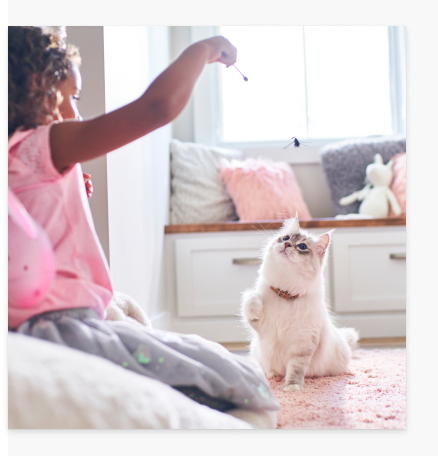 Μία γάτα τρώει φαγητό