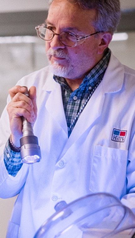 Ένας επιστήμονας της Hill's επιδεικνύει στα παιδιά μια εργαστηριακή εργασία χρησιμοποιώντας ένα φακό