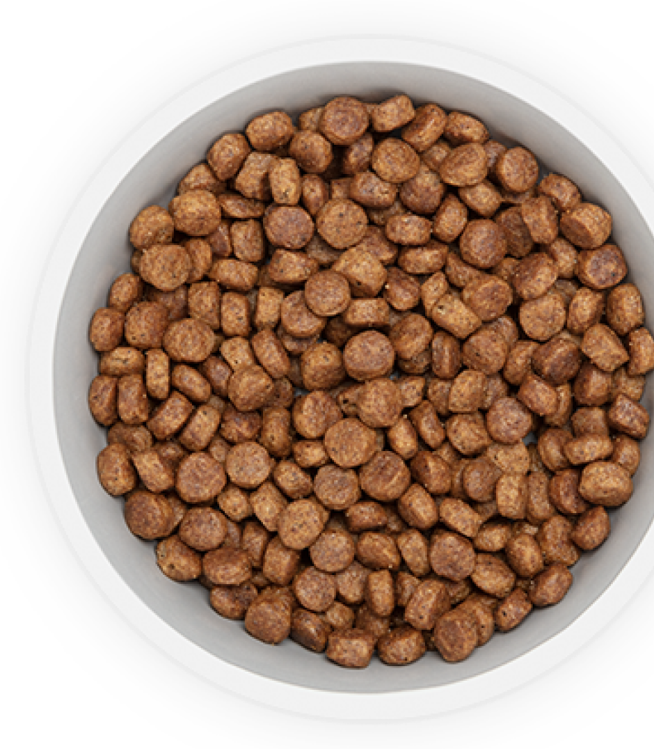 Τροφή για σκύλους