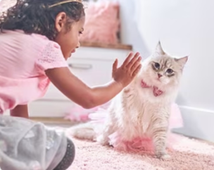 Ένα νεαρό κορίτσι παίζει με ένα γατάκι