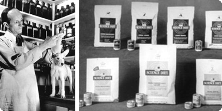 Ο Δρ Mark Morris Jr. εξετάζει ένα κατοικίδιο ζώο